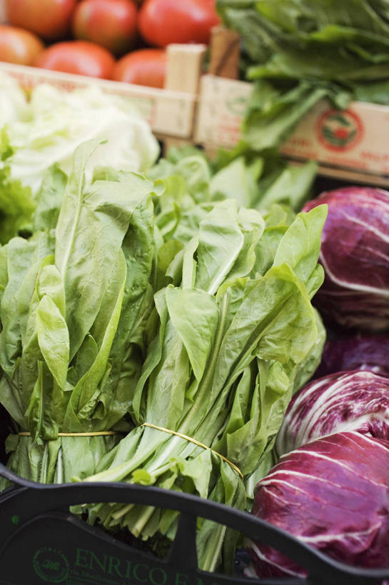 无人,菜场,竖图,俯视,室内,特写,白天,购物,消费,菠菜,蔬菜,西红柿,椰菜,卷心菜,叶子,一堆,许多,堆叠,堆积,新鲜,木制,木盒,紫甘蓝,食品,绿叶,集市,市场,很多,紫包菜,食物,木制品,容器,嫩叶,赤甘蓝,甘蓝,金融,有机食品,绿色食品,储藏,堆,储存,选购,贸易,紫椰菜,紫圆白菜,菜市,叶,叶片,鹦鹉菜,鼠根菜,结球甘蓝,角菜,红嘴绿鹦哥,红甘蓝,甘兰,番茄,赤根菜,菠薐菜,波斯草,包心菜,彩图,高角度拍摄,菜市场,贮存