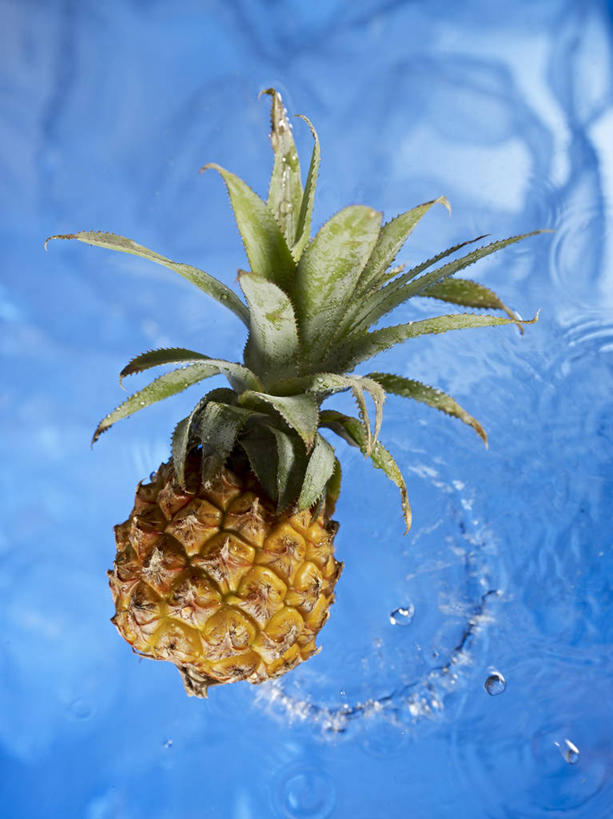 无人,竖图,俯视,室内,特写,白天,水,菠萝,水果,叶子,阴影,波纹,飞溅,蓝色背景,新鲜,溅,透明,反射,液体,影子,气泡,水滴,生食,食品,果实,绿叶,涟漪,漩涡,水泡,水珠,食物,一个,黄色,水纹,泡泡,嫩叶,摄影,有机食品,绿色食品,影棚,单个,圆弧,喷洒,下降,降落,降低,下跌,下落,叶,叶片,凤梨,彩图,高角度拍摄,影棚拍摄,拍摄