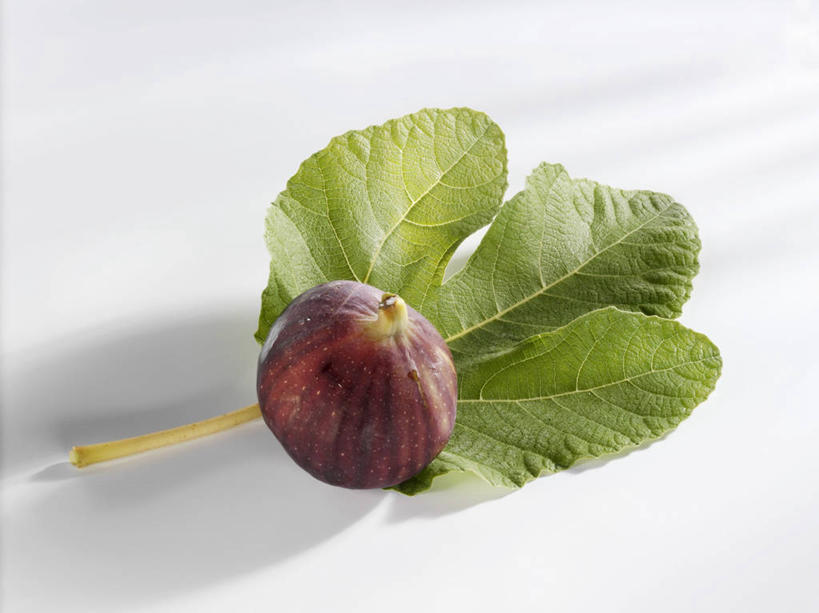 无人,横图,俯视,室内,特写,白天,白色背景,植物,桌面,桌子,无花果,水果,叶子,阴影,新鲜,反射,木制,纹理,影子,生食,食品,果实,绿叶,食物,一个,绿色,木制品,嫩叶,摄影,有机食品,绿色食品,影棚,单个,肌理,叶,叶片,叶脉,映日果,树地瓜,奶浆果,蜜果,彩图,高角度拍摄,影棚拍摄,拍摄