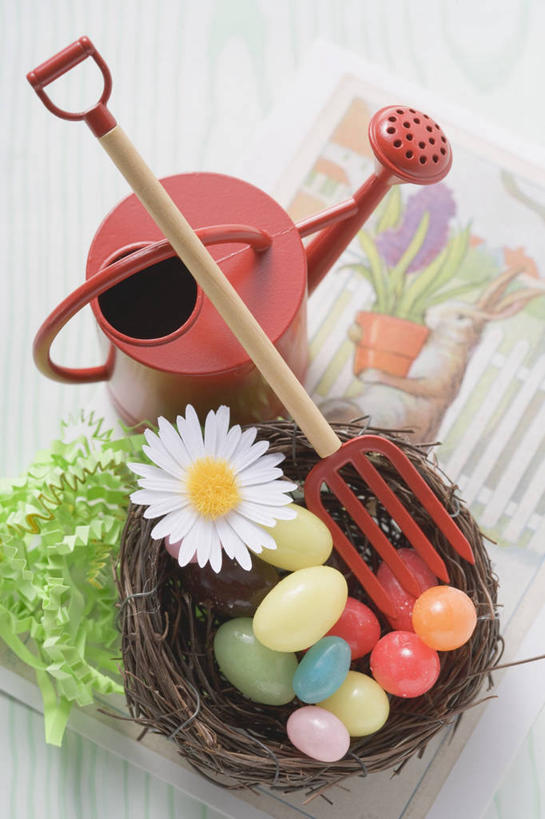 无人,竖图,俯视,室内,特写,白天,白色背景,游戏,快乐,幸福,桌面,桌子,玩具,金属制品,复活节,阴影,节日,庆祝,盛开,反射,金属,木制,工具,壶,影子,蛋,玛格丽特,玩,花蕾,洒水壶,文化,娱乐,水壶,雏菊,花,花瓣,花朵,鲜花,木制品,花苞,花蕊,庆典,休闲,菊花,活力,益智,摄影,影棚,活动,纪念,希望,耙子,坚强,发泄,消遣,智力,和平,彩蛋,农具,复活节彩蛋,离别,延命菊,幸福花,春菊,马兰头花,宣泄,浇水壶,暗恋,纯情,单恋,耕具,天真,玩耍,嬉戏,彩图,高角度拍摄,影棚拍摄,愉快,拍摄