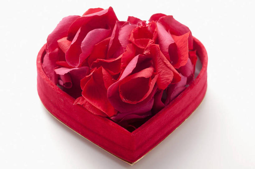 无人,横图,俯视,室内,特写,白天,白色背景,爱情,幸福,纯洁,热情,桌面,桌子,玫瑰,礼盒,礼物,阴影,爱心,盛开,反射,木制,影子,纸盒,玫瑰花,浪漫,花蕾,盒子,花,花瓣,花朵,鲜花,一个,红色,包装盒,木制品,礼品盒,花苞,花蕊,温暖,温馨,心形,恩爱,摄影,礼品,影棚,单个,和睦,感动,尊敬,天真,刺玫花,徘徊花,心型,彩图,高角度拍摄,影棚拍摄,拍摄,融洽