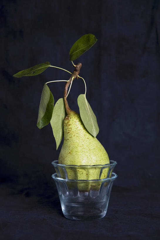 无人,竖图,室内,特写,白天,正面,植物,桌面,桌子,梨,水果,叶子,玻璃,阴影,黑色背景,新鲜,反射,木制,纹理,影子,生食,食品,果实,绿叶,玻璃制品,食物,两个,绿色,木制品,容器,碗,嫩叶,香梨,摄影,有机食品,绿色食品,影棚,储藏,储存,肌理,叶,叶片,叶脉,生梨,彩图,影棚拍摄,拍摄,贮存