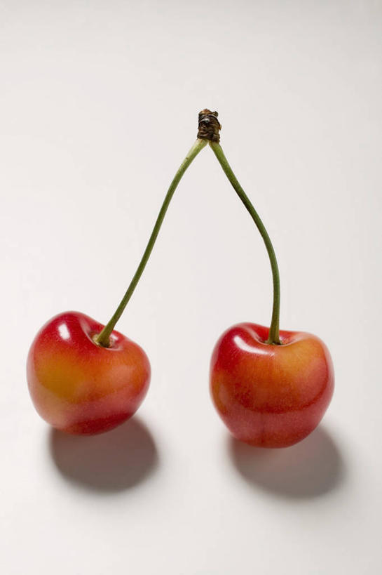无人,竖图,俯视,室内,特写,白天,白色背景,桌面,桌子,樱桃,水果,阴影,新鲜,反射,木制,影子,生食,食品,果实,食物,两个,红色,木制品,摄影,有机食品,绿色食品,影棚,樱珠,莺桃,英桃,楔桃,牛桃,荆桃,彩图,高角度拍摄,影棚拍摄,拍摄