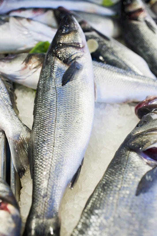 海鲜,三文鱼,无人,竖图,俯视,室内,特写,白天,购物,消费,鲑鱼,一堆,许多,堆叠,堆积,冰,冰块,集市,市场,很多,冷冻,水产,海洋生物,寒冷,金融,冷藏,堆,大马哈鱼,冰冷,水生动物,海产品,水生物,选购,贸易,海底动物,撒蒙鱼,萨门鱼,冰海之皇,鲑,马哈鱼,麻哈鱼,大麻哈鱼,保鲜,半身,彩图,高角度拍摄,鱼市