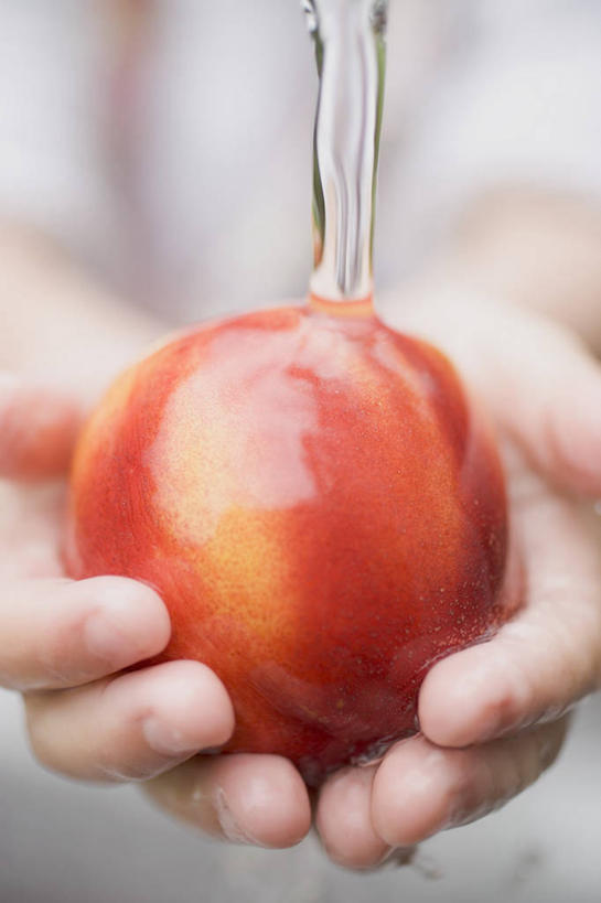 西方人,儿童,手,一个人,竖图,室内,特写,白天,正面,纯洁,水,桃子,水果,欧洲,欧洲人,双手,仅一个女性,仅一个人,握,服装,朦胧,模糊,新鲜,液体,水滴,生食,食品,果实,油桃,拿,拿着,休闲装,食物,一个,小孩,衣服,红色,仅一个小孩,休闲,手部,休闲服,可爱,童年,童趣,握着,服饰,有机食品,绿色食品,单个,下降,降落,童真,烂漫,无邪,肺果,降低,下跌,下落,李光桃,天真,女孩,女人,女性,白种人,孩子,半身,彩图,女生