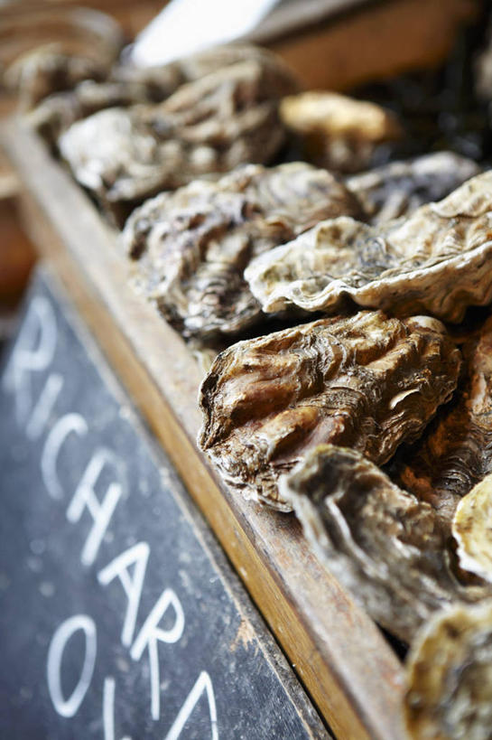 海鲜,无人,竖图,俯视,室内,特写,白天,购物,消费,一堆,许多,堆叠,堆积,朦胧,模糊,英文,标志,文字,字符,字母,牡蛎,集市,市场,很多,标识,水产,海洋生物,黑板,教学,金融,堆,英文字母,生蚝,水生动物,海产品,水生物,选购,贸易,海底动物,耐磨,教学黑板,彩图,高角度拍摄,鱼市