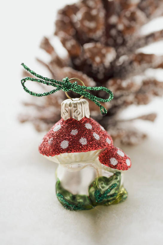 无人,竖图,俯视,室内,特写,白天,白色背景,植物,餐桌,桌子,圣诞节,阴影,节日,朦胧,模糊,庆祝,反射,影子,圆点,斑点,菌菇,圣诞树,菌类,文化,树,树木,绿色,自然,庆典,摄影,影棚,生长,成长,餐台,纪念,有毒,毒蝇伞,毒蝇鹅膏菌,哈蟆菌,捕蝇菌,毒蝇菌,彩图,高角度拍摄,影棚拍摄,拍摄