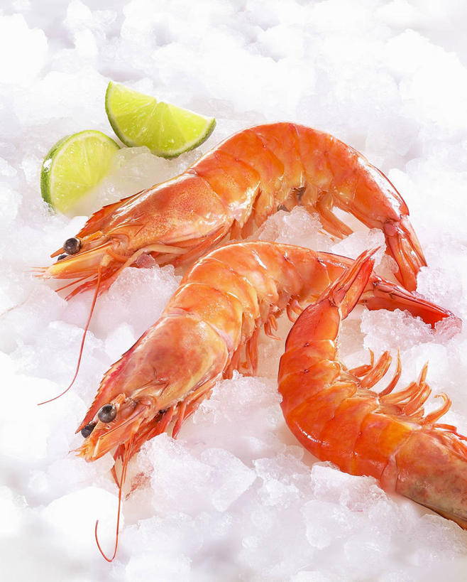 海鲜,无人,竖图,俯视,室内,特写,白天,餐桌,桌子,水果,三只,切开,阴影,新鲜,反射,影子,冰,生食,虾,冰块,食品,果实,冷冻,水产,大虾,海洋生物,食物,切,橙色,寒冷,有机食品,绿色食品,对虾,冷藏,餐台,冰冷,水生动物,海产品,水生物,剖面,海底动物,切面,斑节虾,酸橙,保鲜,代代,东方对虾,中国对虾,橙子,橙,半身,彩图,高角度拍摄