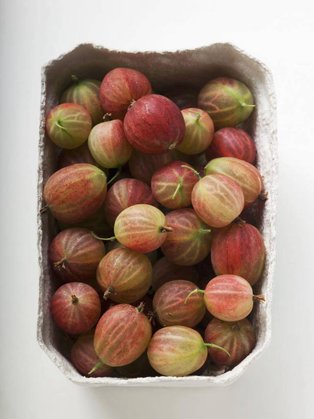 无人,竖图,俯视,室内,特写,白天,白色背景,餐桌,桌子,浆果,水果,一堆,许多,阴影,堆叠,堆积,新鲜,反射,影子,陶瓷,灯笼果,生食,食品,果实,陶瓷制品,很多,食物,一个,容器,碗,摄影,有机食品,绿色食品,影棚,单个,餐台,储藏,堆,储存,红醋栗,醋栗,彩图,高角度拍摄,影棚拍摄,拍摄,贮存