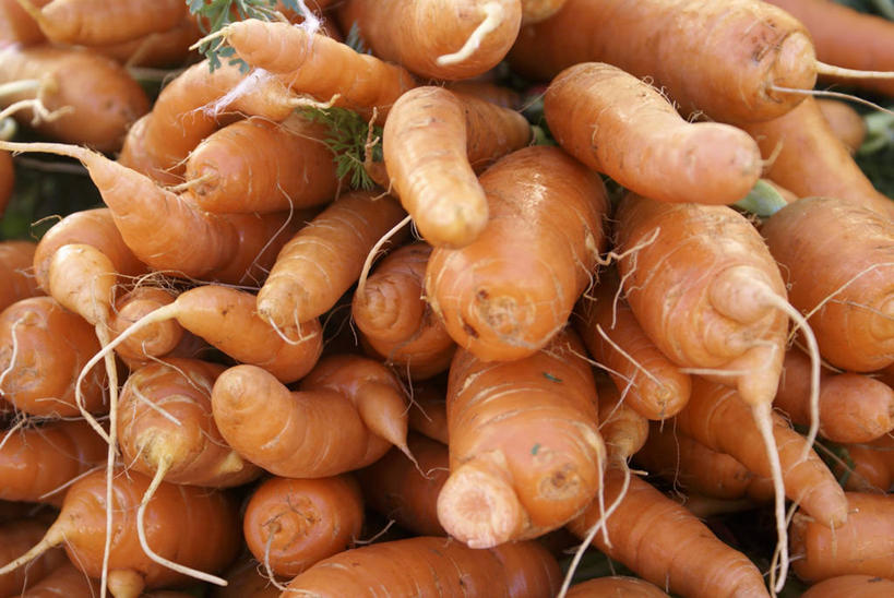 无人,菜场,横图,俯视,室内,特写,白天,购物,消费,餐桌,桌子,萝卜,胡萝卜,蔬菜,一堆,许多,阴影,堆叠,堆积,新鲜,反射,影子,食品,集市,市场,很多,食物,橙色,金融,有机食品,绿色食品,餐台,堆,选购,贸易,菜市,红萝卜,甘荀,彩图,高角度拍摄,菜市场