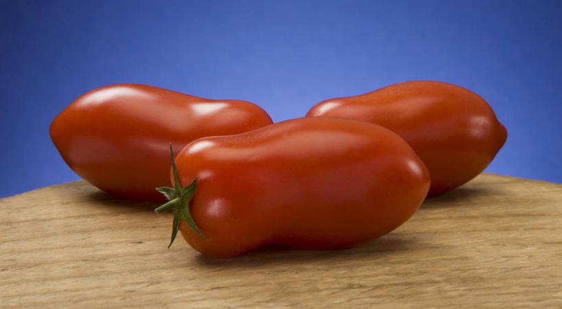 无人,横图,俯视,室内,特写,白天,餐桌,桌子,蔬菜,西红柿,一块,阴影,蓝色背景,新鲜,反射,木制,影子,食品,案板,砧板,食物,三个,红色,木制品,摄影,有机食品,绿色食品,影棚,餐台,番茄,彩图,高角度拍摄,影棚拍摄,拍摄