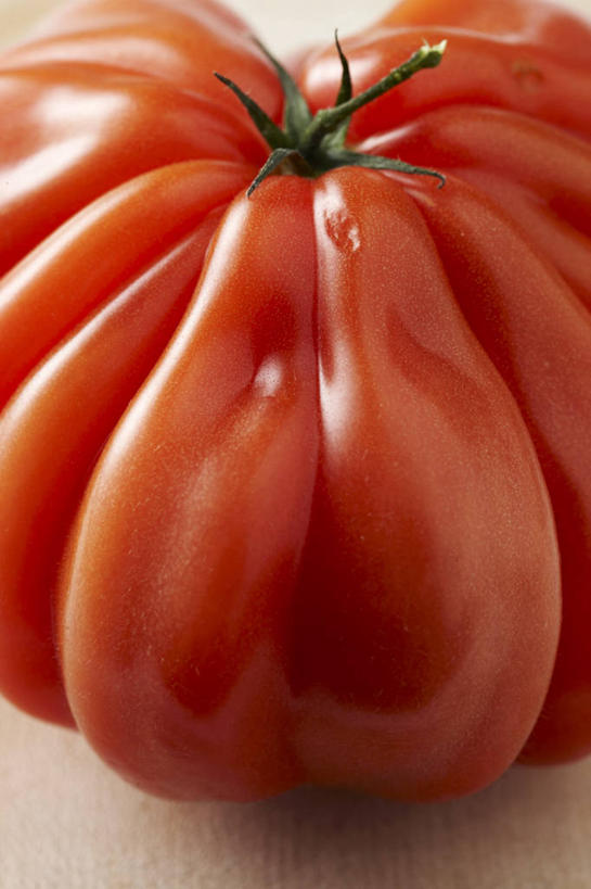 无人,竖图,俯视,室内,特写,白天,兴奋,热情,餐桌,桌子,蔬菜,西红柿,阴影,新鲜,反射,影子,食品,开放,食物,一个,红色,健康,温暖,奔放,活力,积极,激情,朝气,有机食品,绿色食品,单个,餐台,暖色,吉祥,生命,饱满,革命,热烈,赤色,充实,斗志,喜气,主动,番茄,彩图,高角度拍摄,欢乐