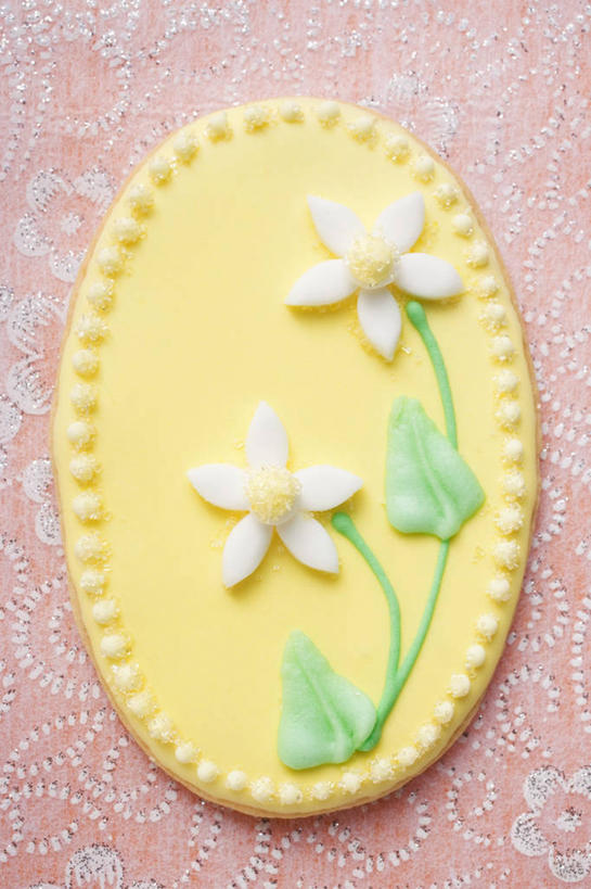 点心,无人,竖图,俯视,室内,特写,白天,爱情,陶醉,餐桌,桌子,水仙花,复活节,一块,阴影,节日,庆祝,盛开,反射,影子,食品,曲奇,花蕾,文化,花,花瓣,花朵,鲜花,食物,饼干,零食,花苞,花蕊,庆典,餐台,纪念,记忆,曲奇饼,曲奇饼干,金盏银台,玉玲珑,女史花,雅蒜,天蒜,敬意,自恋,凌波仙子,水仙,天葱,彩图,高角度拍摄