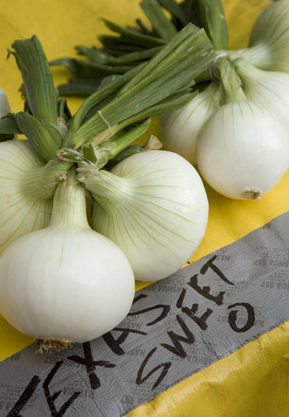 无人,菜场,竖图,俯视,室内,特写,白天,购物,消费,蔬菜,洋葱,阴影,新鲜,反射,英文,标志,文字,影子,字符,字母,食品,集市,市场,标识,食物,金融,有机食品,绿色食品,捆绑,英文字母,玉葱,选购,贸易,绑缚,菜市,圆葱,洋葱头,球葱,葱头,彩图,高角度拍摄,菜市场