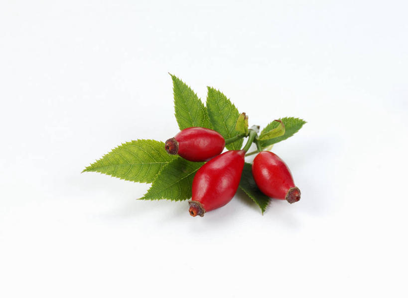 无人,横图,俯视,室内,特写,白天,白色背景,桌面,桌子,水果,叶子,阴影,新鲜,反射,木制,影子,生食,食品,果实,绿叶,食物,三个,木制品,果肉,嫩叶,摄影,有机食品,绿色食品,影棚,蔷薇果,玫瑰果,叶,叶片,彩图,高角度拍摄,影棚拍摄,拍摄