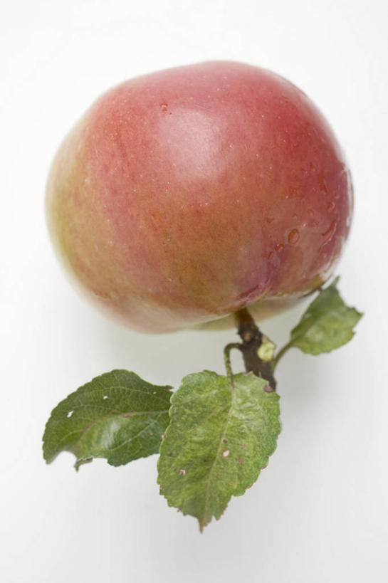 无人,竖图,俯视,室内,特写,白天,白色背景,桌面,桌子,苹果,水果,叶子,阴影,新鲜,反射,木制,影子,生食,食品,果实,绿叶,食物,一个,红色,木制品,嫩叶,摄影,有机食品,绿色食品,影棚,单个,叶,叶片,彩图,高角度拍摄,影棚拍摄,拍摄