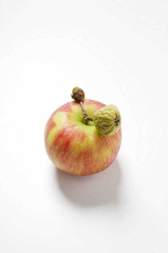 无人,竖图,俯视,室内,特写,白天,白色背景,桌面,桌子,苹果,水果,阴影,新鲜,反射,木制,影子,生食,食品,果实,食物,两个,红色,木制品,摄影,有机食品,绿色食品,影棚,彩图,高角度拍摄,影棚拍摄,拍摄