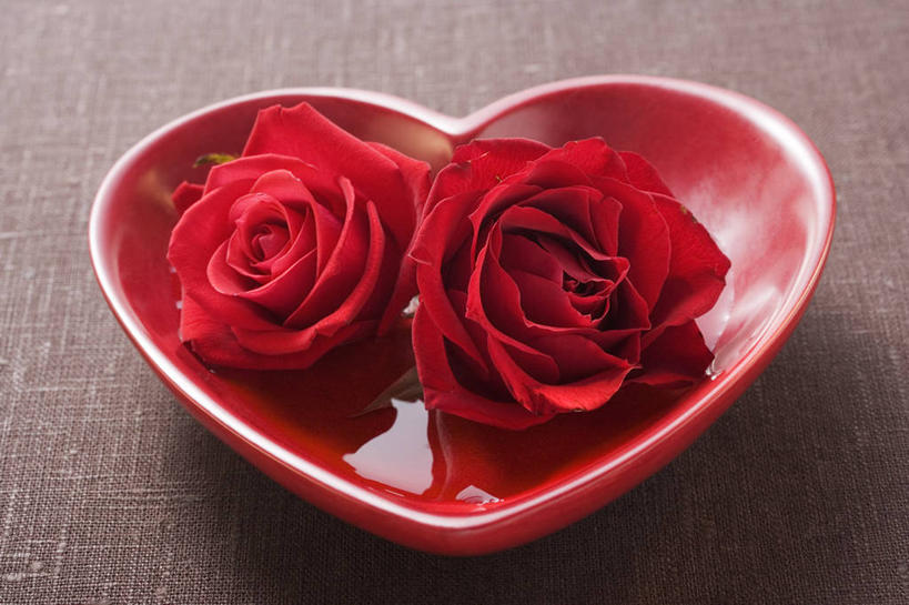 无人,横图,俯视,室内,特写,白天,爱情,幸福,纯洁,热情,桌面,桌子,玫瑰,餐具,阴影,爱心,朦胧,模糊,盛开,反射,木制,碟子,盘,影子,玫瑰花,浪漫,花蕾,花,花瓣,花朵,鲜花,两朵,一个,红色,盘子,木制品,碟,花苞,花蕊,温暖,温馨,心形,恩爱,摄影,影棚,和睦,感动,尊敬,天真,刺玫花,徘徊花,心型,彩图,高角度拍摄,影棚拍摄,拍摄,融洽