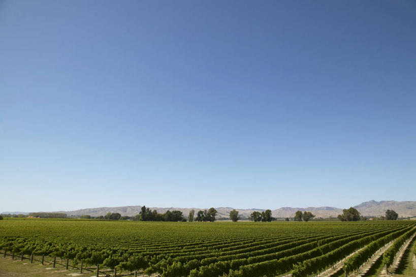 无人,家,果园,木屋,横图,室外,白天,正面,旅游,度假,美景,山,山脉,田园,植物,新西兰,一排,阴影,整齐,光线,影子,景观,山峰,果树,山峦,娱乐,葡萄园,住宅,树,树木,排列,蓝色,绿色,蓝天,天空,阳光,自然,群山,天,享受,休闲,景色,放松,生长,晴朗,成长,队列,自然风光,大洋洲,万里无云,田庄,纽西兰,长白云之乡,园子,晴空,晴空万里,彩图,茅舍,茅屋,棚屋,小木屋,小屋