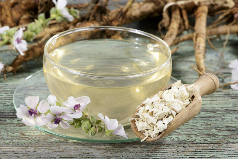 无人,横图,俯视,室内,特写,白天,幸福,餐桌,茶,桌子,叶子,玻璃,阴影,朦胧,模糊,盛开,反射,影子,茶叶,绿叶,饮品,花蕾,娱乐,玻璃制品,花,花瓣,花朵,鲜花,一个,容器,碗,花茶,花苞,花蕊,享受,休闲,温馨,嫩叶,放松,乐趣,保健,养生,单个,餐台,储藏,花草茶,舒适,储存,香花茶,香片,熏花茶,金钱紫花葵,锦葵,荆葵,钱葵,淑气花,小白淑气花,恩惠,叶,叶片,彩图,高角度拍摄,贮存