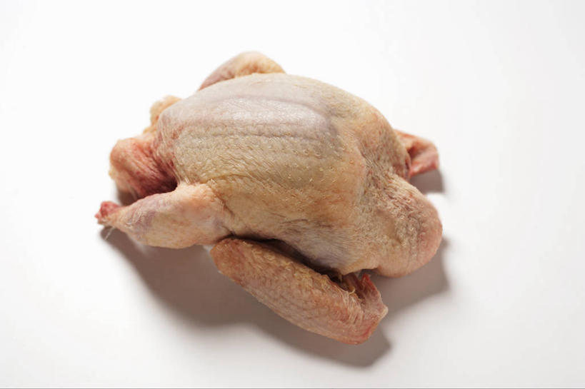 无人,横图,俯视,室内,特写,白天,白色背景,餐桌,桌子,鸟,阴影,新鲜,反射,斑鸠,鸟类,影子,肉,生食,肉类,一只,摄影,影棚,餐台,肉食,欧斑鸠,彩图,高角度拍摄,影棚拍摄,拍摄