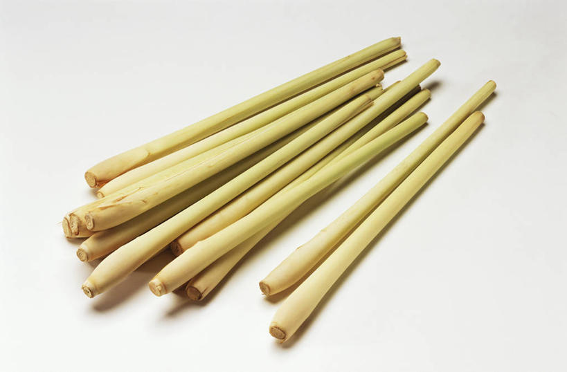 无人,横图,俯视,室内,特写,白天,白色背景,餐桌,桌子,蔬菜,一堆,许多,阴影,堆叠,堆积,新鲜,反射,影子,调味,香料,佐料,食品,香茅,柠檬草,食物,摄影,有机食品,绿色食品,影棚,餐台,堆,作料,彩图,高角度拍摄,影棚拍摄,拍摄