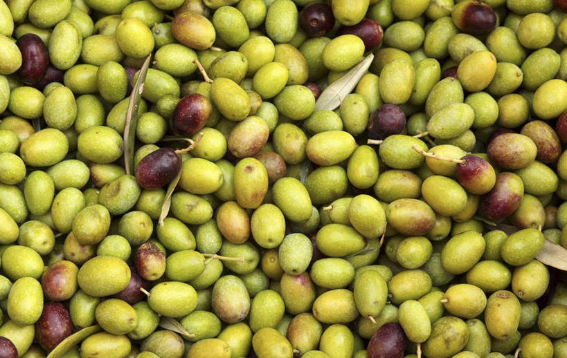 无人,横图,俯视,室内,特写,白天,橄榄,水果,一堆,许多,阴影,堆叠,堆积,新鲜,反射,影子,生食,食品,果实,食物,有机食品,绿色食品,堆,青果,白榄,彩图,高角度拍摄