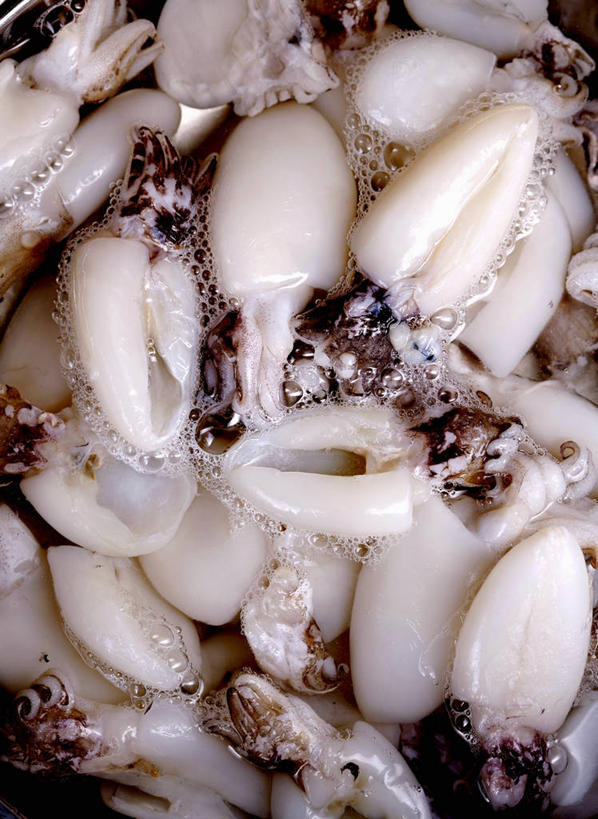 海鲜,无人,竖图,俯视,室内,特写,白天,水,乌贼,一堆,许多,阴影,堆叠,堆积,反射,液体,影子,水滴,肉,鱼肉,水产,肉类,海洋生物,无脊椎动物,堆,水生动物,海产品,水生物,肉食,海底动物,乌鲗,乌鱼,无脊椎非鱼类,墨鱼,墨斗鱼,花枝,彩图,高角度拍摄