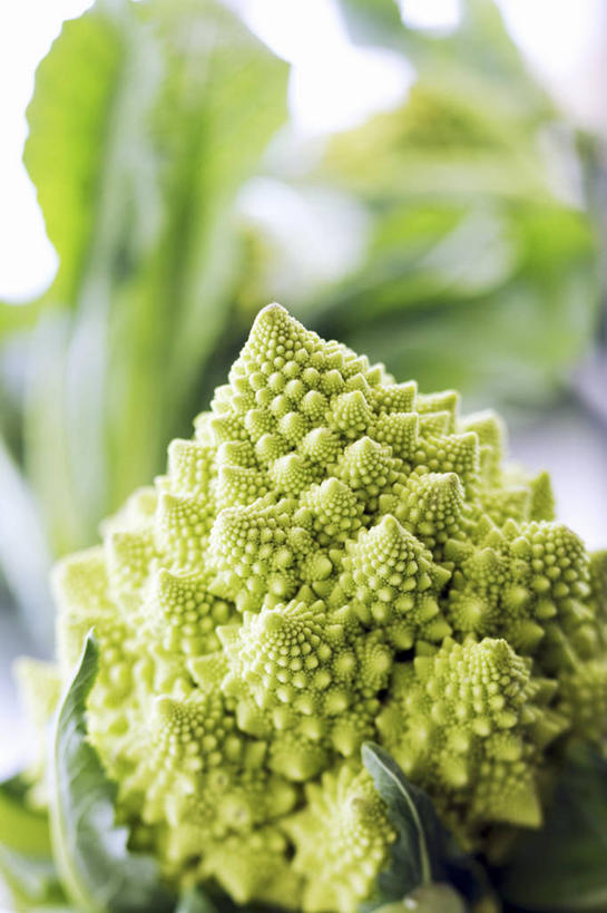 无人,竖图,俯视,室内,特写,白天,餐桌,桌子,蔬菜,叶子,阴影,朦胧,模糊,新鲜,反射,影子,花菜,花椰菜,西兰花,食品,绿叶,食物,一个,绿色,嫩叶,有机食品,绿色食品,单个,餐台,椰菜花,罗马花椰菜,青宝塔,甘蓝花,叶,叶片,彩图,高角度拍摄