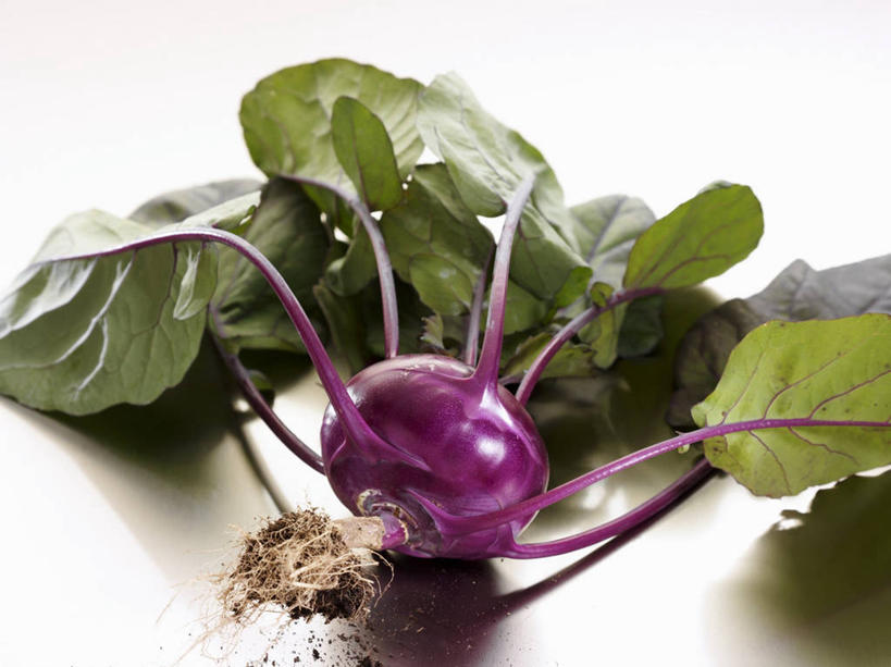 无人,横图,俯视,室内,特写,白天,白色背景,餐桌,桌子,蔬菜,叶子,阴影,新鲜,反射,影子,食品,绿叶,食物,一个,紫色,嫩叶,芥菜,摄影,有机食品,绿色食品,影棚,单个,餐台,大头菜,盖菜,叶,叶片,彩图,高角度拍摄,影棚拍摄,拍摄