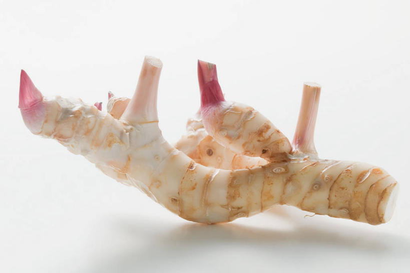 无人,横图,俯视,室内,特写,白天,白色背景,植物,餐桌,桌子,阴影,反射,影子,草药,药草,中药,一个,摄影,影棚,单个,餐台,药材,中草药,高良姜,中药材,本草,风姜,枫姜,高凉姜,良姜,蛮姜,小良姜,彩图,高角度拍摄,影棚拍摄,拍摄