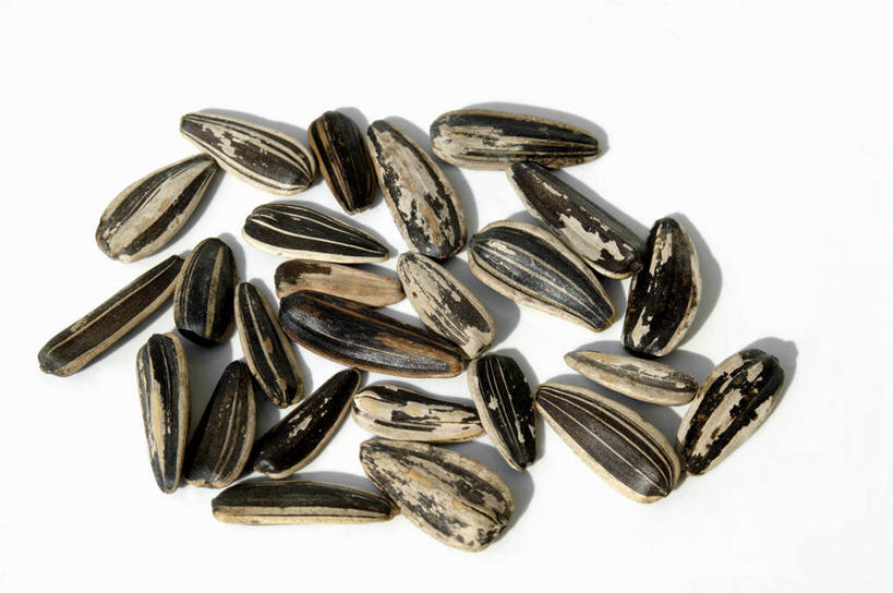 点心,无人,横图,俯视,室内,特写,白天,白色背景,餐桌,桌子,许多,阴影,反射,影子,食品,坚果,小吃,食物,排列,零食,摄影,影棚,餐台,瓜子,葵花籽,摆列,葵花子,彩图,高角度拍摄,影棚拍摄,拍摄,布列,分列