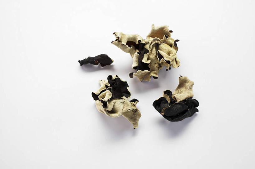 无人,横图,俯视,室内,特写,白天,白色背景,餐桌,桌子,蔬菜,许多,阴影,新鲜,反射,影子,菌菇,食品,菌类,木耳,食物,排列,食用菌,摄影,有机食品,绿色食品,影棚,餐台,黑木耳,摆列,光木耳,彩图,高角度拍摄,影棚拍摄,拍摄,布列,分列