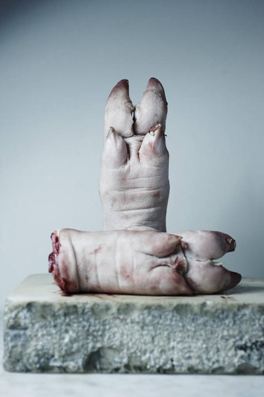 无人,竖图,室内,特写,白天,正面,石头,餐桌,桌子,阴影,蓝色背景,反射,石子,影子,猪手,猪蹄,猪爪,两个,摄影,影棚,餐台,猪脚,石块,岩石,彩图,影棚拍摄,拍摄