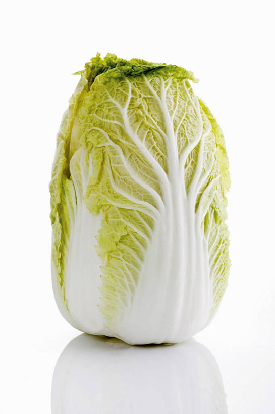 无人,竖图,室内,特写,白天,白色背景,正面,餐桌,桌子,蔬菜,阴影,新鲜,反射,影子,大白菜,食品,白菜,食物,一个,摄影,有机食品,绿色食品,影棚,单个,餐台,胶菜,镳菜,彩图,影棚拍摄,拍摄