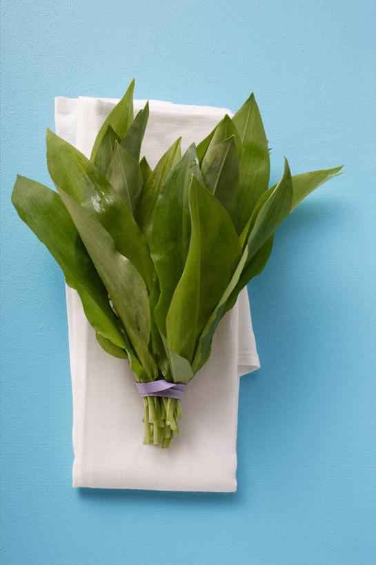 无人,竖图,俯视,室内,特写,白天,植物,桌面,桌子,叶子,阴影,蓝色背景,反射,木制,纹理,影子,绿叶,绿色,餐巾,木制品,绳子,嫩叶,摄影,影棚,绳索,肌理,保洁方巾,口布,菜芝,山蒜,小根菜,小根蒜,薤白,野葱,野蒜,野小蒜,叶,叶片,叶脉,彩图,高角度拍摄,影棚拍摄,拍摄