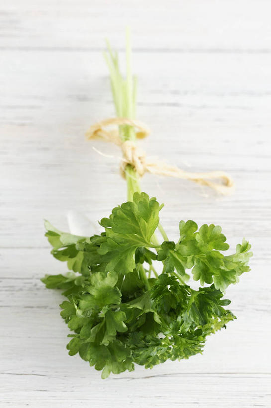 无人,竖图,俯视,室内,特写,白天,白色背景,餐桌,桌子,蔬菜,叶子,新鲜,香菜,食品,绿叶,食物,嫩叶,摄影,有机食品,绿色食品,影棚,餐台,胡菜,香荽,原荽,园荽,芫荽,胡荽,莞荽,芫茜,芫蓿,莚葛草,莚荽菜,叶,叶片,彩图,高角度拍摄,影棚拍摄,拍摄