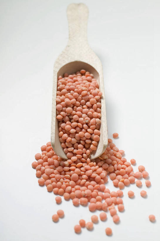 无人,竖图,俯视,室内,特写,白天,白色背景,植物,餐桌,桌子,豆,扁豆,蔬菜,一堆,许多,堆叠,堆积,新鲜,木制,豆类,豆子,食品,畚箕,食物,一个,红色,木制品,摄影,有机食品,绿色食品,影棚,簸箕,单个,餐台,堆,豆科,白扁豆,羊眼豆,沿篱豆,小刀豆,藤豆,树豆,膨皮豆,南豆,南扁豆,凉衍豆,蛾眉豆,茶豆,藊豆,彩图,高角度拍摄,影棚拍摄,拍摄