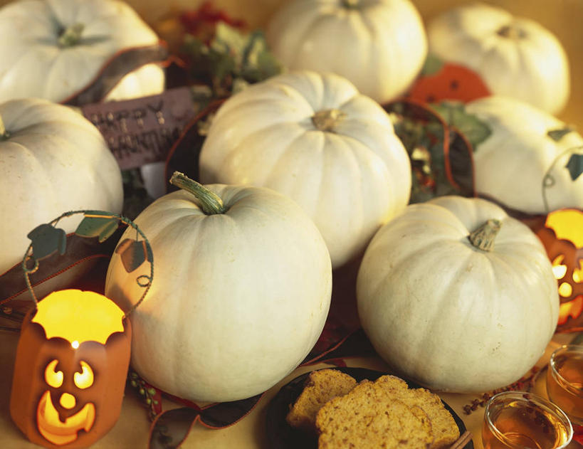 脸,头,脸颊,无人,横图,俯视,室内,特写,白天,桌面,桌子,南瓜,蔬菜,照明,一堆,许多,堆叠,堆积,节日,朦胧,模糊,庆祝,新鲜,装饰,木制,灯光,金瓜,食品,文化,镂空,番瓜,灯,食物,木制品,灯具,庆典,南瓜灯,万圣节,有机食品,绿色食品,纪念,堆,华丽,修饰,麦瓜,倭瓜,照亮,点缀,照明设备,衬托,美观,雅致,雅观,镂刻,头部,脸部,脸蛋,面部,彩图,高角度拍摄