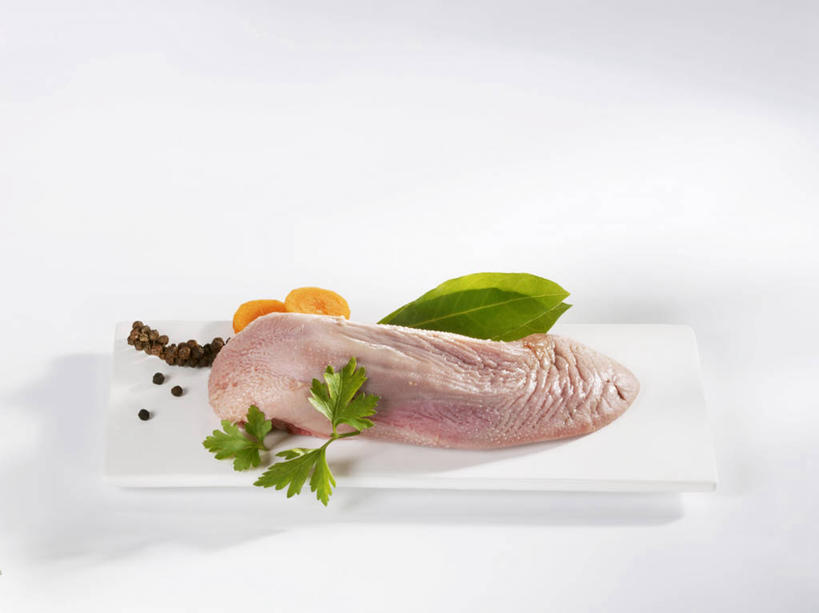 内脏,动脉,静脉,无人,横图,俯视,室内,特写,白天,白色背景,餐桌,桌子,餐具,医学,碟子,盘,盘子,模型,碟,香草,摄影,影棚,餐台,生物学,器官,猪舌,生理学,动物器官,芳香植物,舌头,彩图,高角度拍摄,影棚拍摄,拍摄