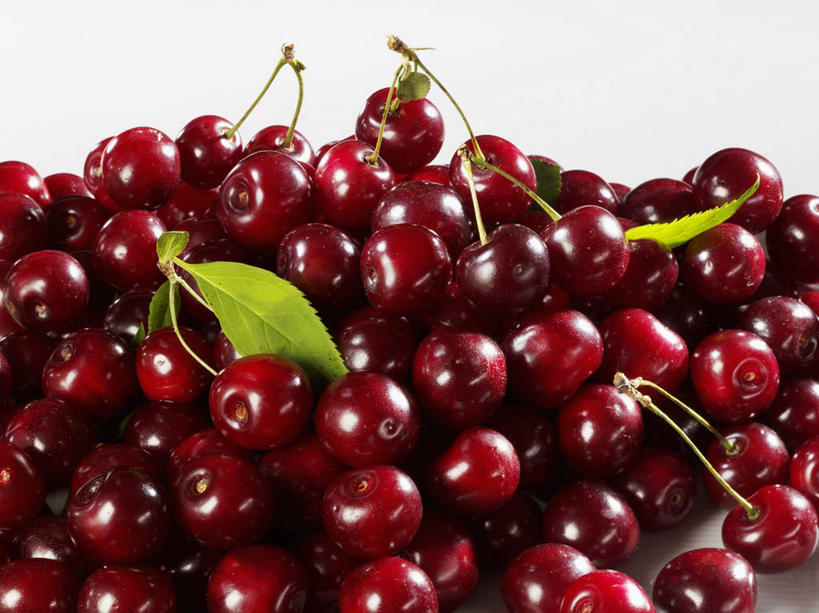 无人,横图,俯视,室内,特写,白天,白色背景,餐桌,桌子,樱桃,水果,叶子,一堆,许多,堆叠,堆积,新鲜,生食,食品,果实,绿叶,食物,红色,嫩叶,摄影,有机食品,绿色食品,影棚,餐台,堆,叶,叶片,樱珠,莺桃,英桃,楔桃,牛桃,荆桃,彩图,高角度拍摄,影棚拍摄,拍摄,欧洲酸樱桃,酸樱桃