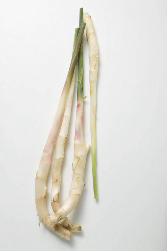 无人,竖图,俯视,室内,特写,白天,白色背景,餐桌,桌子,姜,蔬菜,新鲜,食品,食物,摄影,有机食品,绿色食品,影棚,餐台,止咳,止痛,解毒,发汗,温肺,温胃,行气,止呕,百辣云,生姜,老姜,彩图,高角度拍摄,影棚拍摄,拍摄,散寒