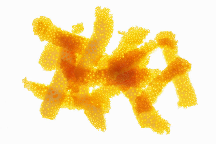 无人,横图,俯视,室内,特写,白天,白色背景,餐桌,桌子,一堆,许多,堆叠,堆积,果皮,橙色,摄影,影棚,餐台,堆,桔子皮,橘子皮,彩图,高角度拍摄,影棚拍摄,拍摄