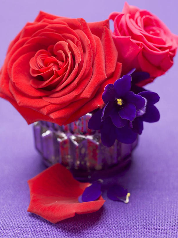 无人,竖图,俯视,室内,特写,白天,爱情,幸福,纯洁,热情,餐桌,桌子,玫瑰,紫罗兰,花瓶,情人节,阴影,紫色背景,节日,庆祝,盛开,反射,影子,玫瑰花,浪漫,花蕾,文化,玻璃制品,花,花瓣,花朵,鲜花,红色,紫色,玻璃瓶,瓶子,花苞,花蕊,庆典,温暖,温馨,恩爱,摄影,影棚,餐台,纪念,和睦,脆弱,非洲紫罗兰,感动,永恒,尊敬,非洲堇,单薄,天真,刺玫花,徘徊花,彩图,高角度拍摄,影棚拍摄,拍摄,融洽