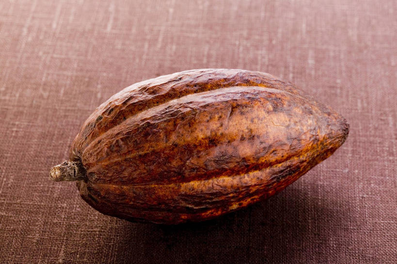 无人,横图,俯视,室内,特写,白天,餐桌,桌子,阴影,朦胧,模糊,反射,影子,褐色,果实,种子,可可,一个,单个,餐台,可可豆,可可子,彩图,高角度拍摄