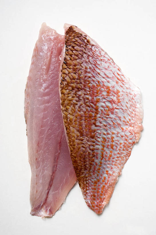 海鲜,无人,竖图,俯视,室内,特写,白天,白色背景,餐桌,桌子,阴影,反射,影子,肉,鱼肉,鲷鱼,水产,肉类,海洋生物,摄影,影棚,餐台,鲷,加吉鱼,铜盆鱼,真鲷,水生动物,海产品,水生物,肉食,红鲷,海底动物,班加吉,加真鲷,红加吉,彩图,高角度拍摄,影棚拍摄,拍摄