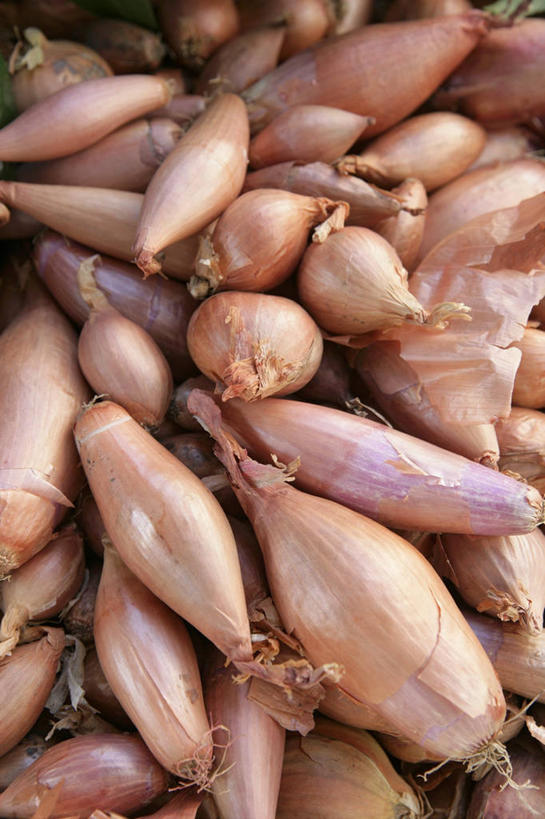 无人,竖图,俯视,室内,特写,白天,餐桌,桌子,蔬菜,一堆,许多,阴影,堆叠,堆积,新鲜,反射,影子,葱,青葱,食品,食物,有机食品,绿色食品,餐台,堆,彩图,高角度拍摄