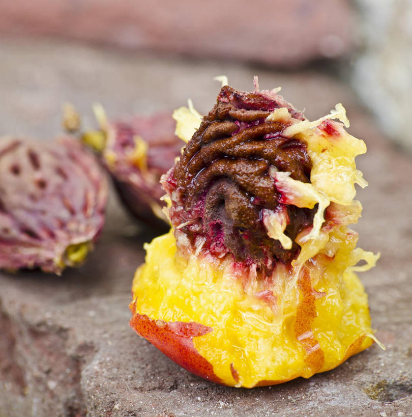 无人,竖图,俯视,室内,特写,白天,桌面,桌子,桃子,水果,阴影,朦胧,模糊,破碎,新鲜,反射,木制,影子,生食,食品,果实,油桃,食物,木制品,有机食品,绿色食品,破裂,摧毁,肺果,李光桃,彩图,高角度拍摄