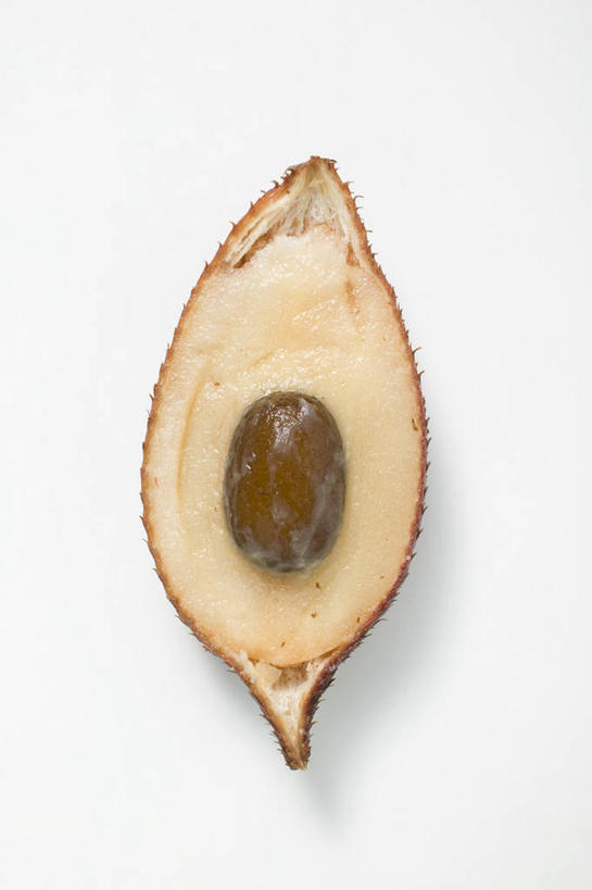 无人,竖图,俯视,室内,特写,白天,白色背景,桌面,桌子,水果,切开,阴影,新鲜,反射,木制,影子,生食,食品,果实,半个,食物,木制品,切,一半,摄影,有机食品,绿色食品,影棚,剖面,切面,蛇皮果,彩图,高角度拍摄,影棚拍摄,拍摄