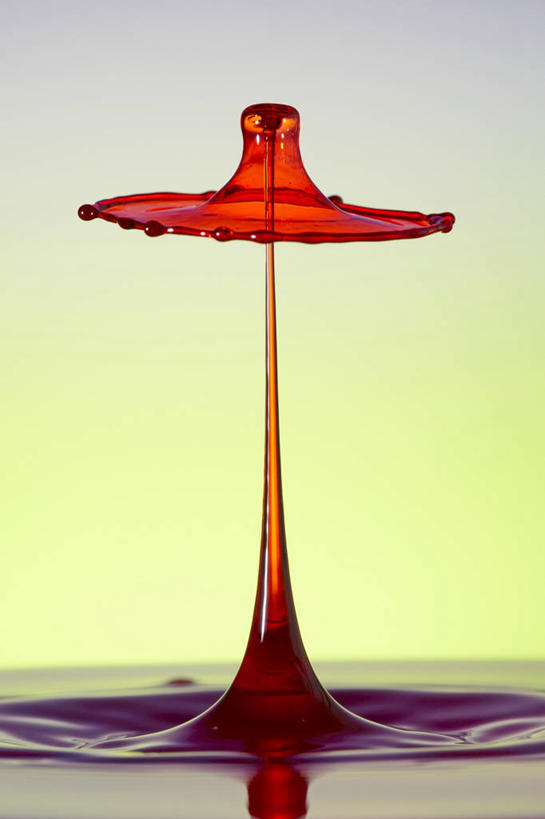 无人,竖图,室内,特写,白天,正面,兴奋,热情,飞溅,溅,伞,液体,水滴,开放,水珠,红色,健康,温暖,奔放,活力,积极,激情,朝气,暖色,吉祥,生命,喷洒,饱满,革命,热烈,赤色,充实,斗志,喜气,主动,彩图,欢乐